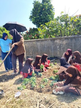 Kegiatan Berkebun